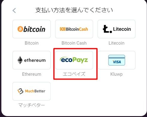 ビットスターズエコペイズ入金