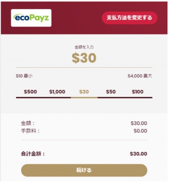 チェリーカジノエコペイズ入金