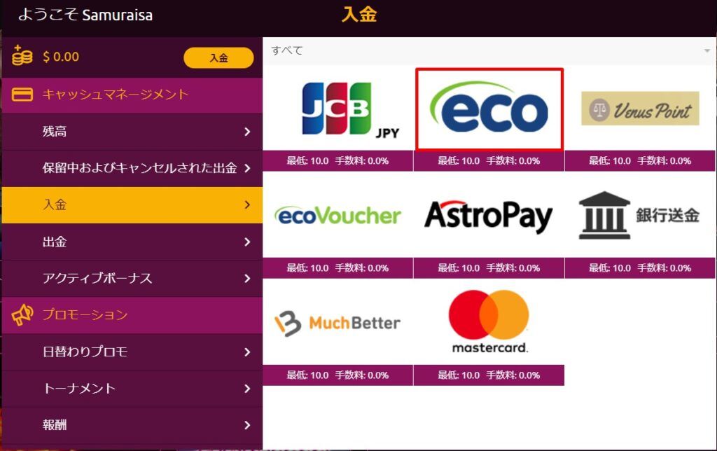 ラッキーニッキーエコペイズ入金