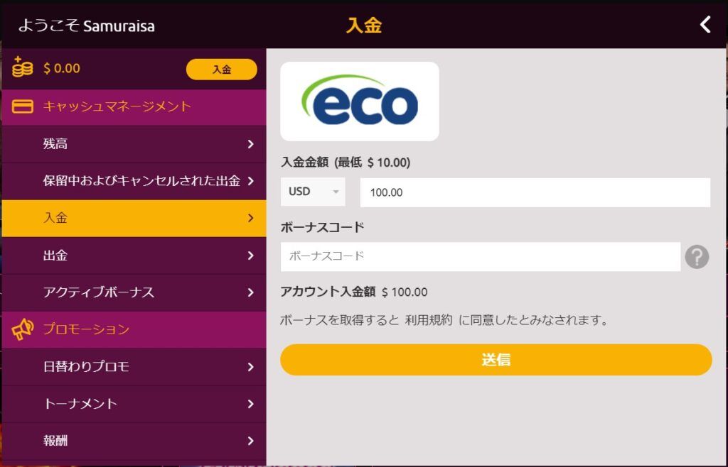 ラッキーニッキーエコペイズ入金完了