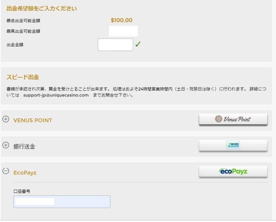 ユニークカジノエコペイズ出金方法