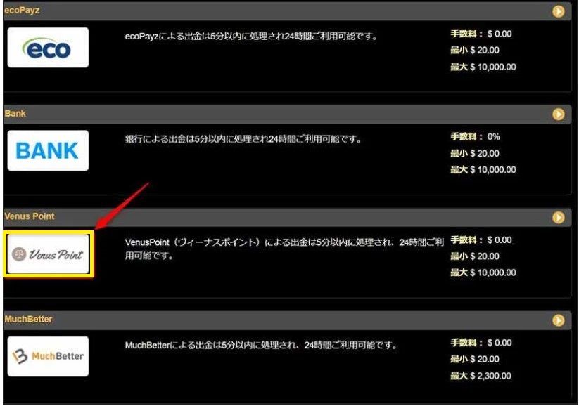 ビデオスロッツ出金方法一覧